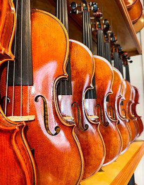 A row of shiny wooden violins closely lined up on a shelf, showcasing their polished bodies and strings in a music store or workshop.