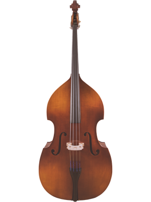 Canzona Allegra 100 Series Student Double Bass Outfit