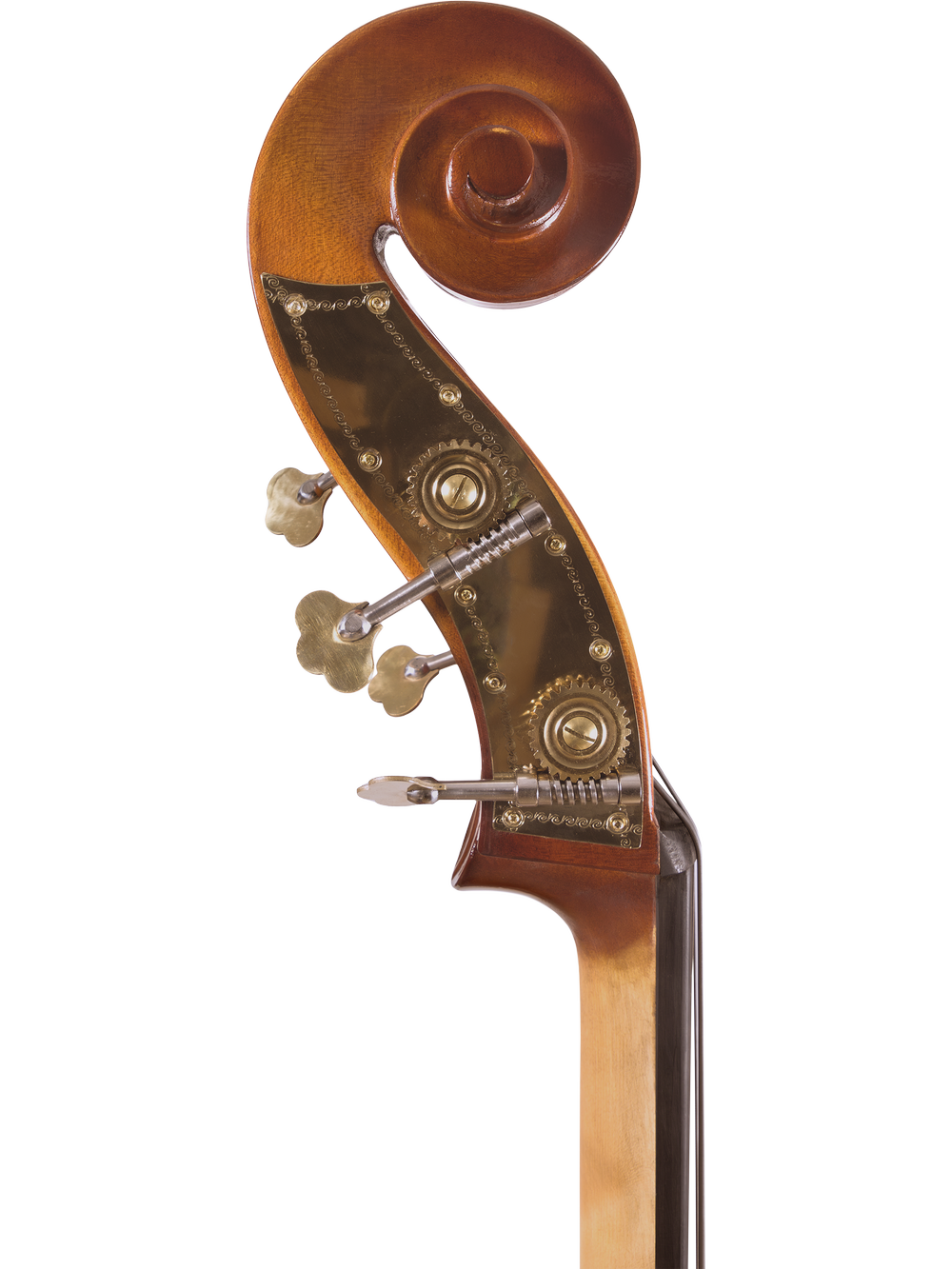 Canzona Allegra 100 Series Student Double Bass Outfit