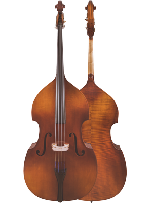 Canzona Allegra 100 Series Student Double Bass Outfit