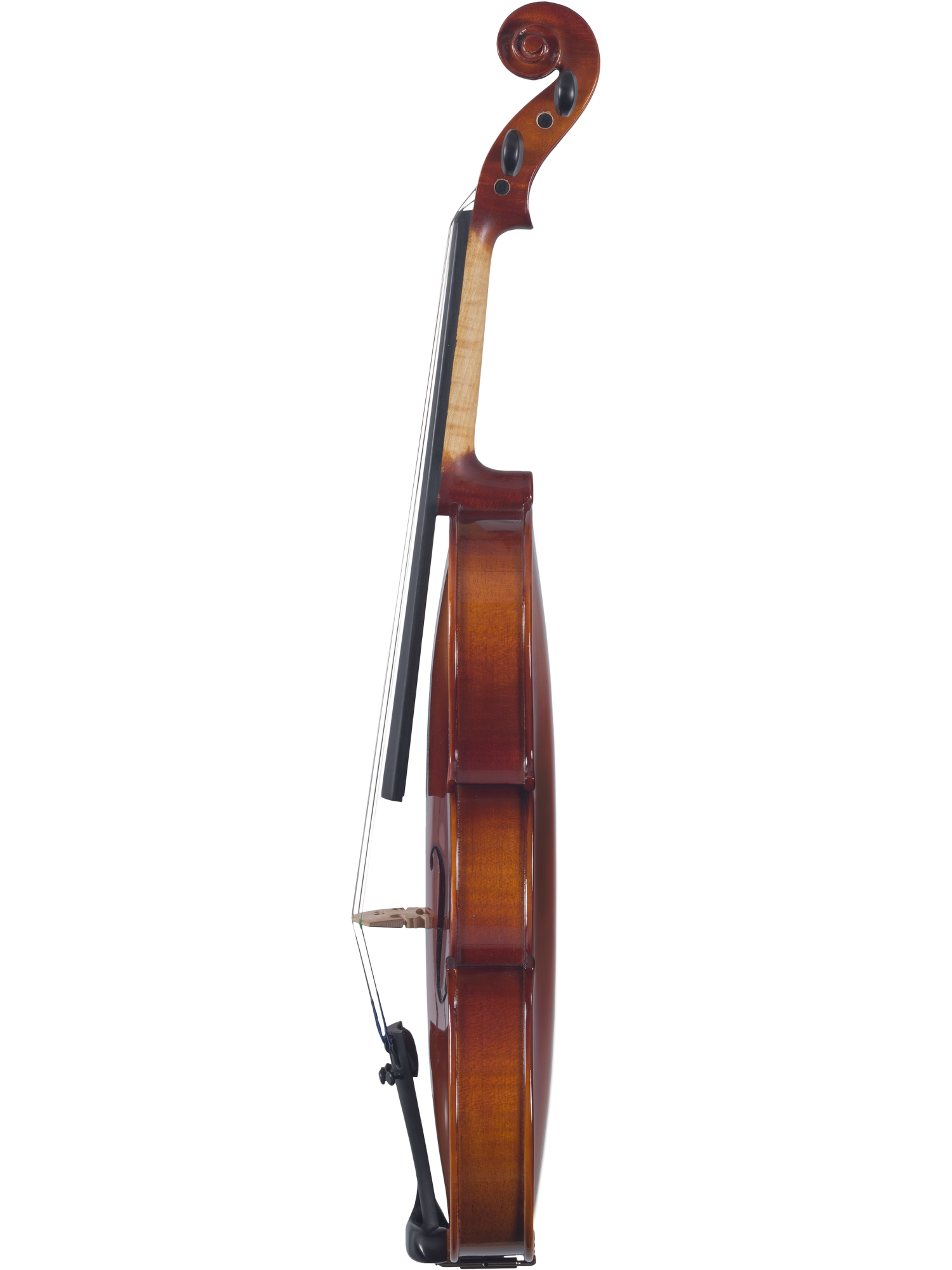 Canzona Sonata Student Violin Outfit