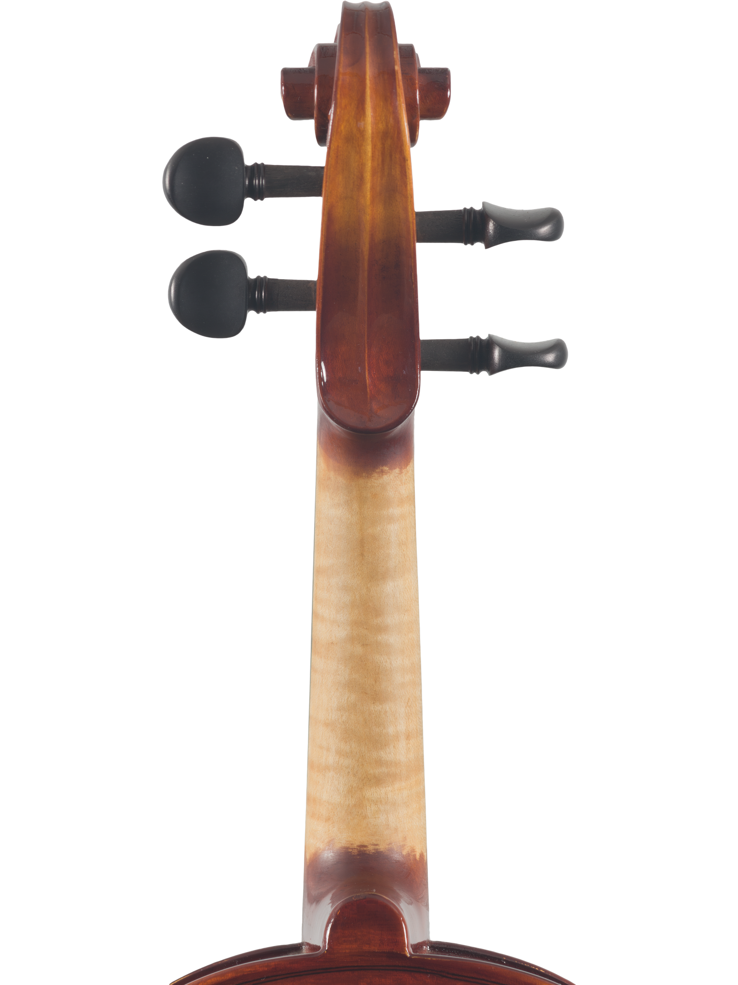 Canzona Sonata Student Violin Outfit