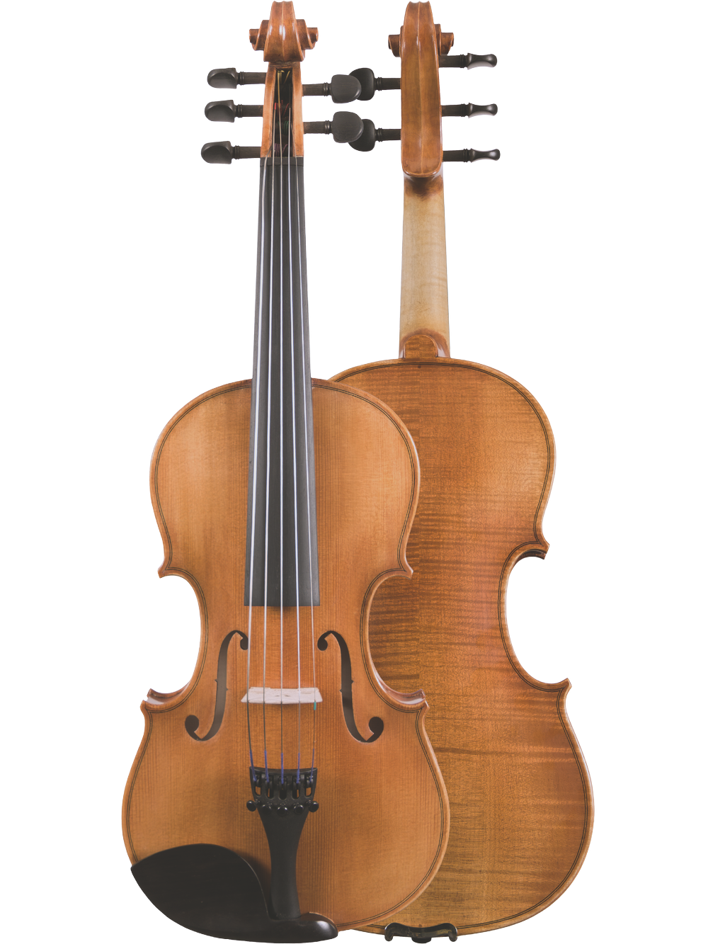 Canzona Violina Cinque 5-String Violin