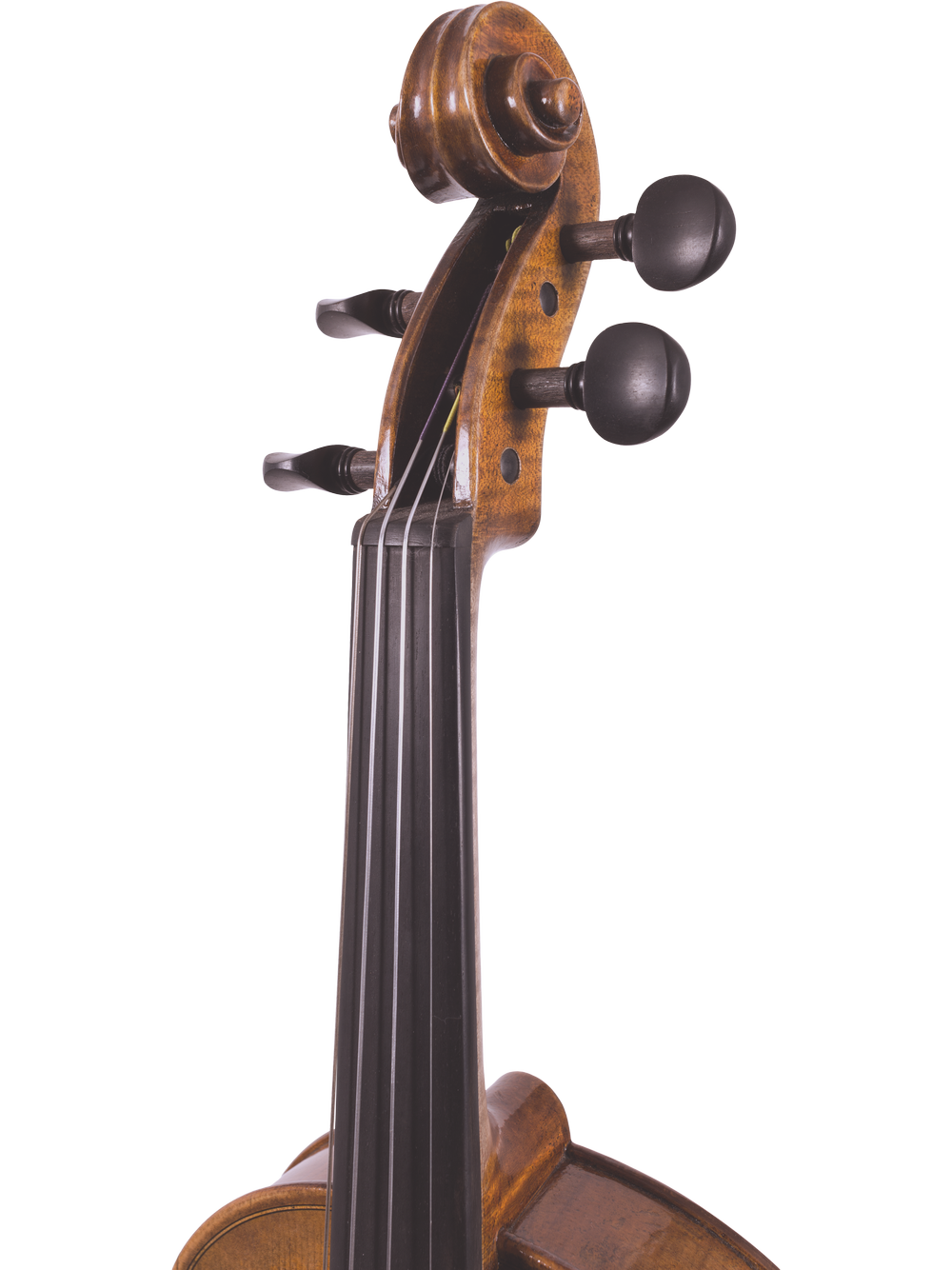 Canzona Lorenzo Intermediate Violin Outfit