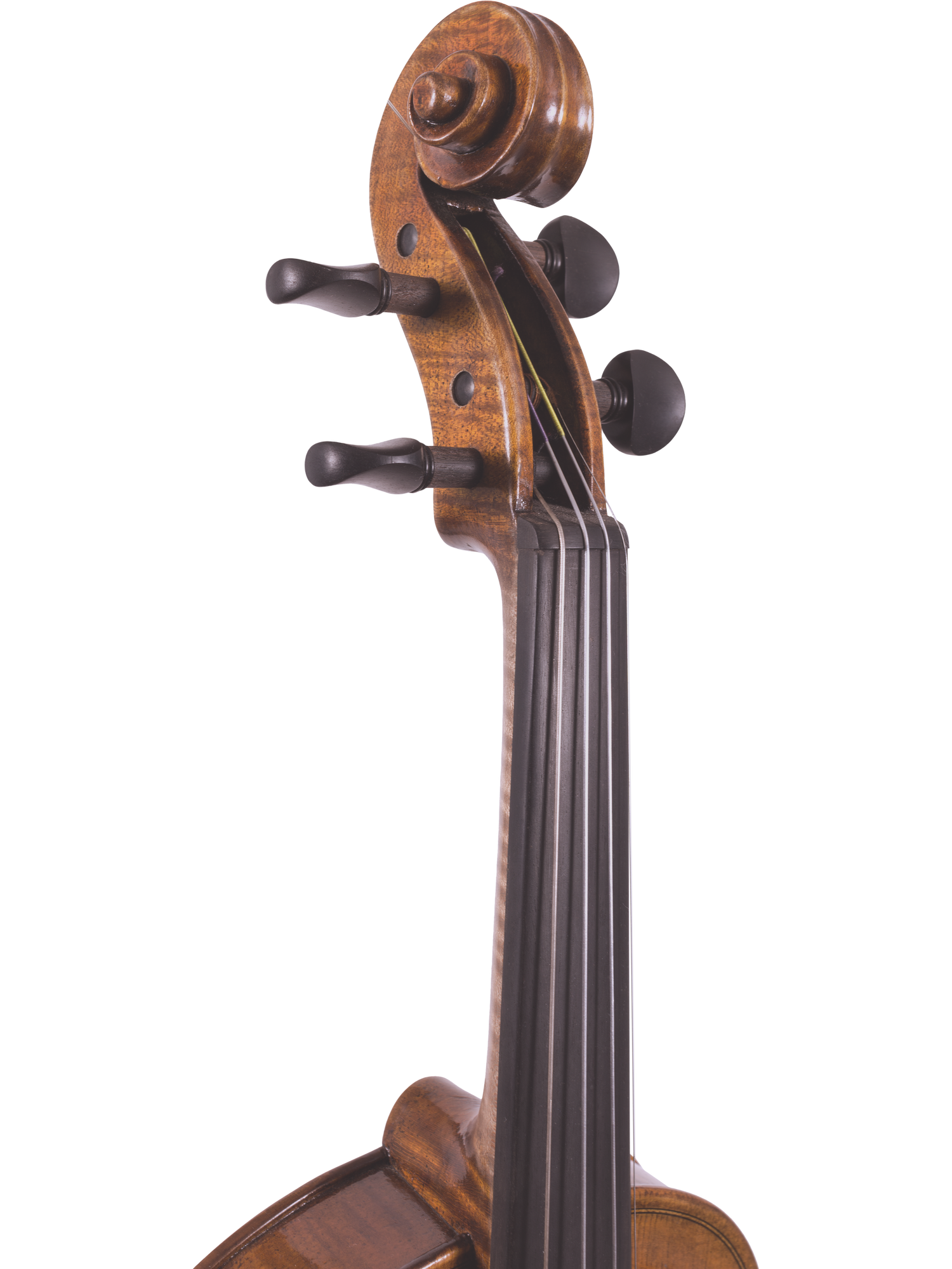 Canzona Lorenzo Intermediate Violin Outfit