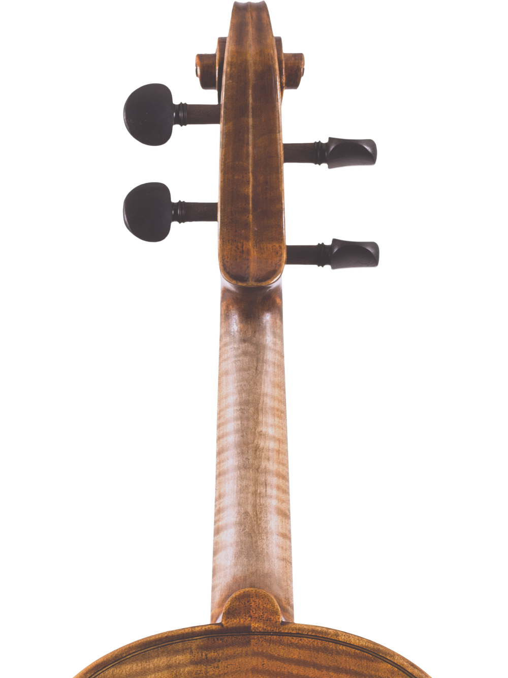 Canzona Lorenzo Intermediate Violin Outfit