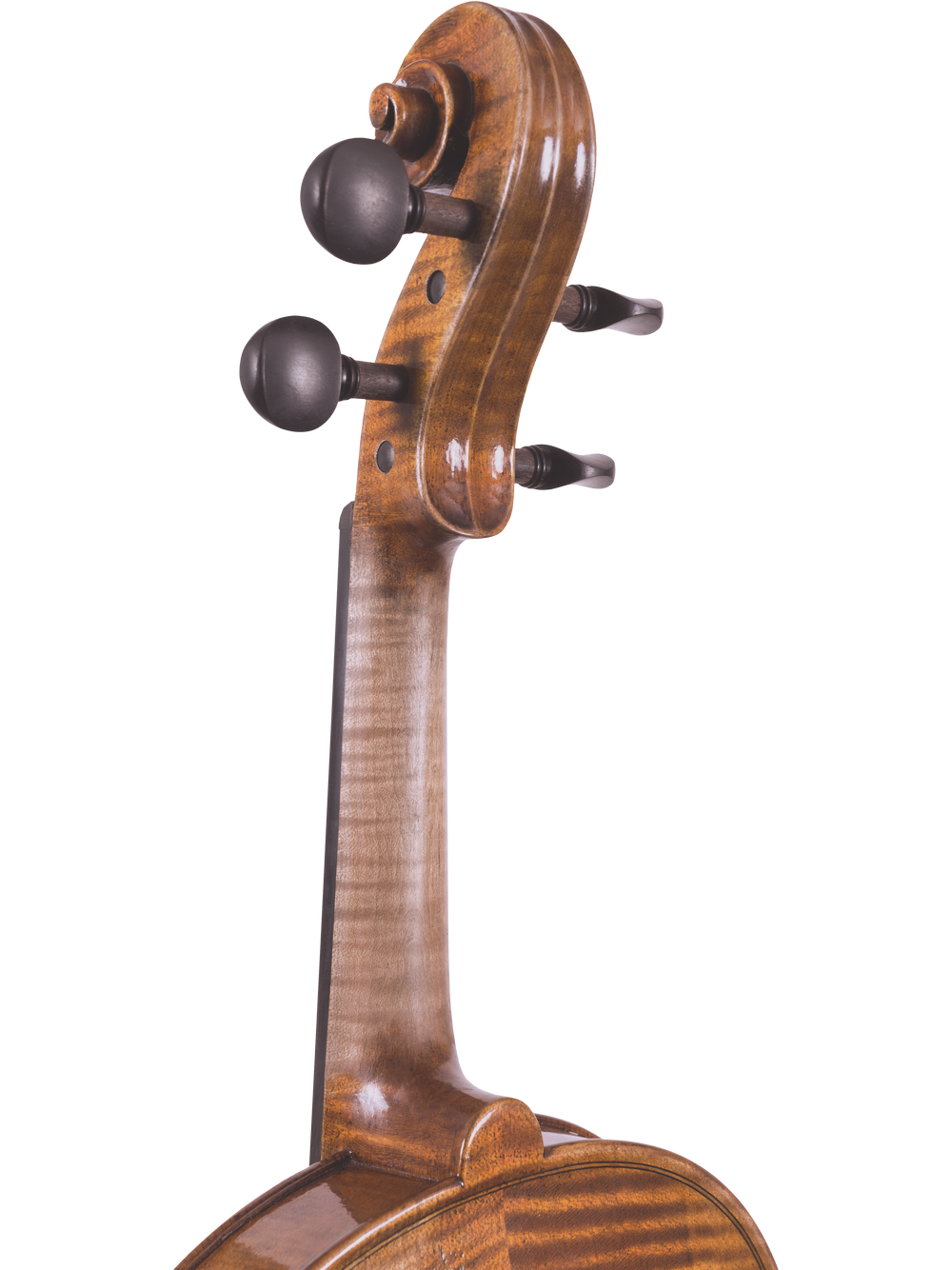 Canzona Lorenzo Intermediate Violin Outfit