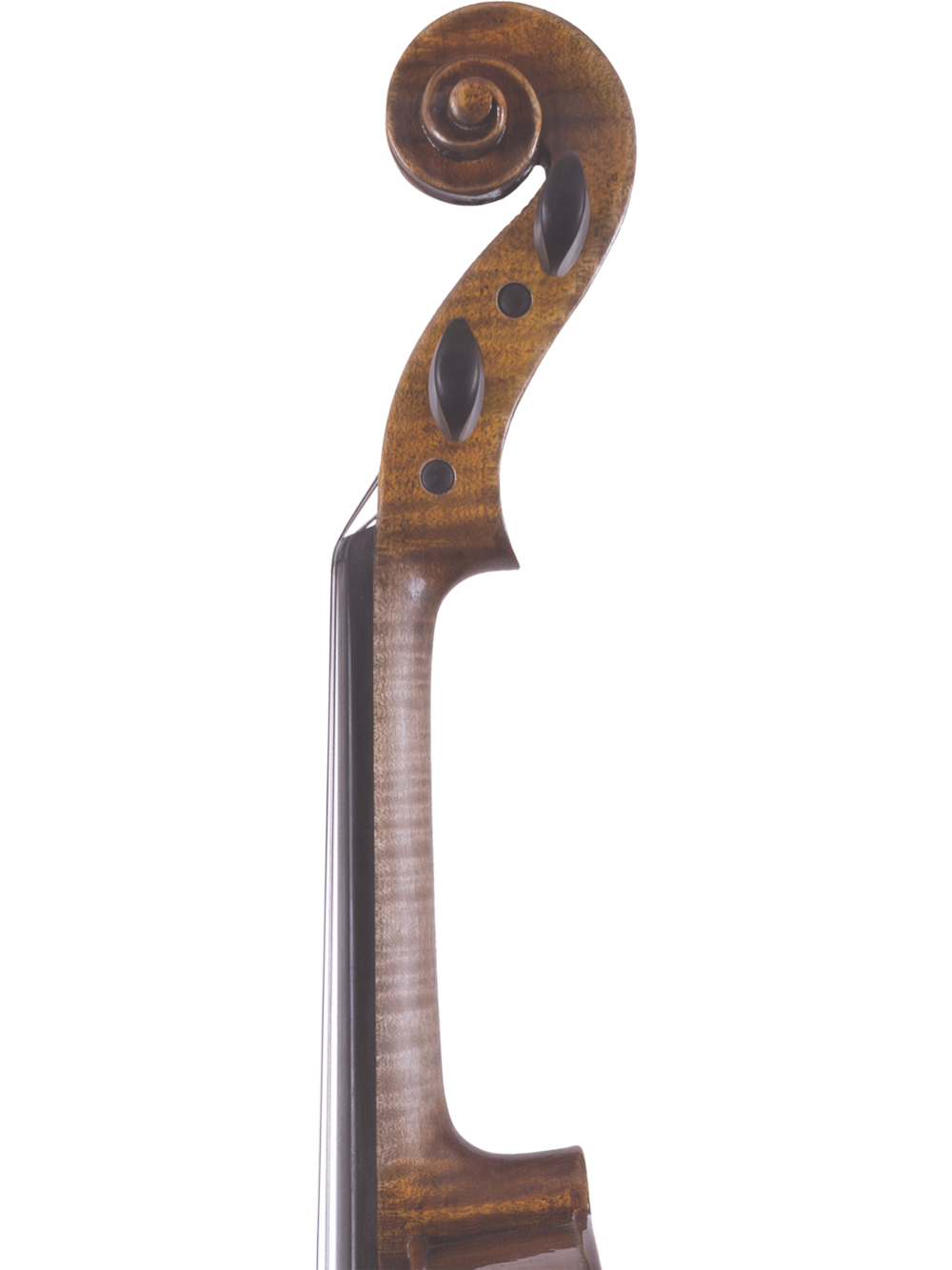 Canzona Lorenzo Intermediate Violin Outfit