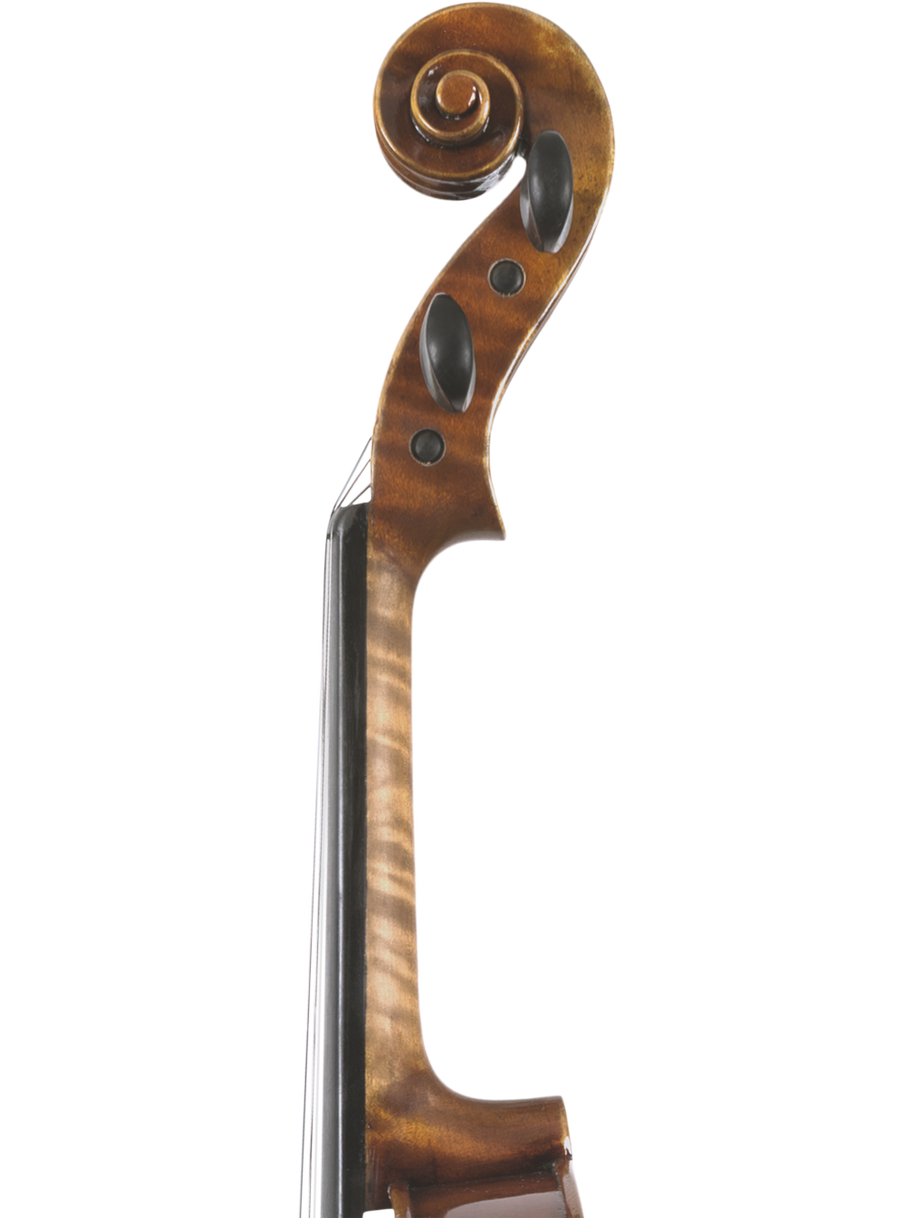 Canzona Pietro Locatelli Violin Outfit