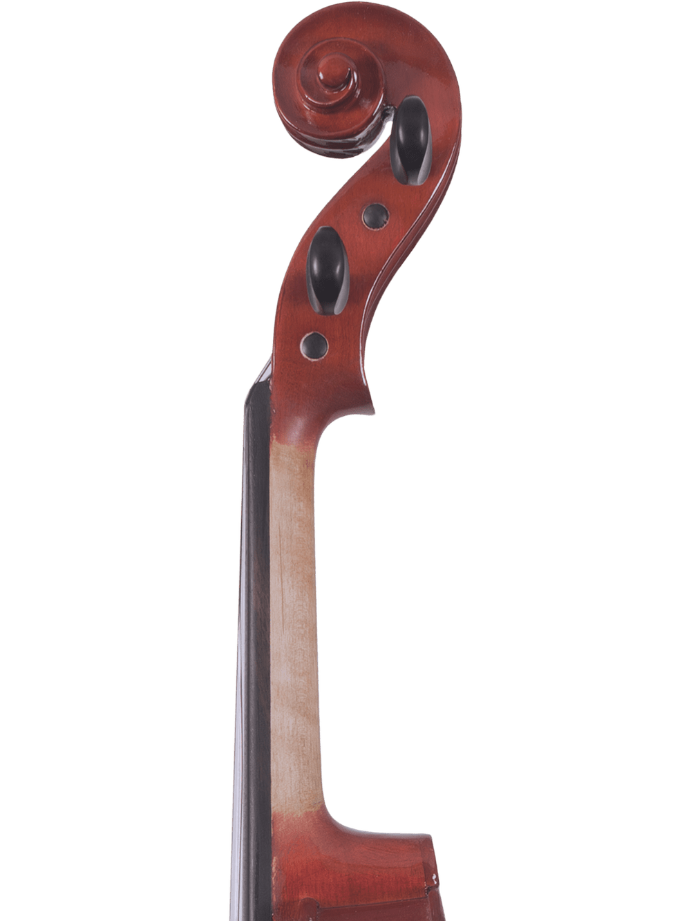 Canzona Allegra Student Viola Outfit – Hand Carved Spruce & Maple