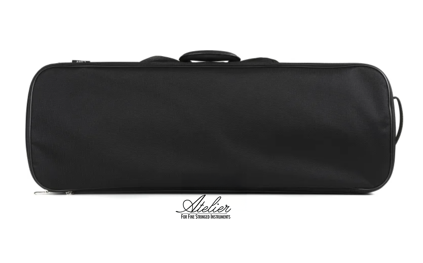Core CC498V Oblong Viola Case – Black with Blue Interior