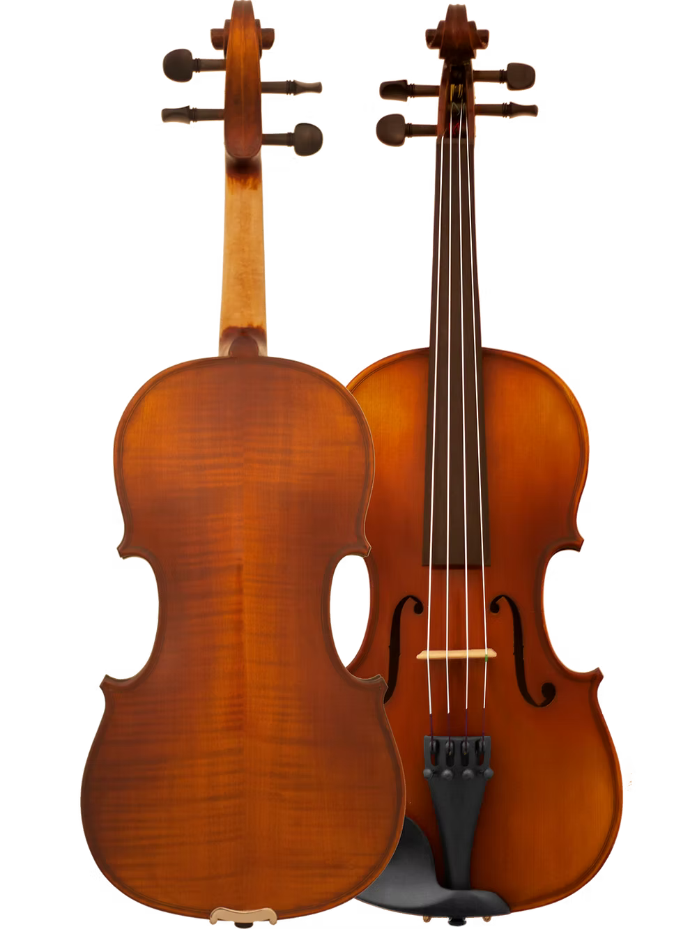 Two violins are shown: a Canzona Allegra Violin Outfit displays its strings and fingerboard, while the other reveals its polished wooden back. Both have a professional setup and stand upright against a white background.