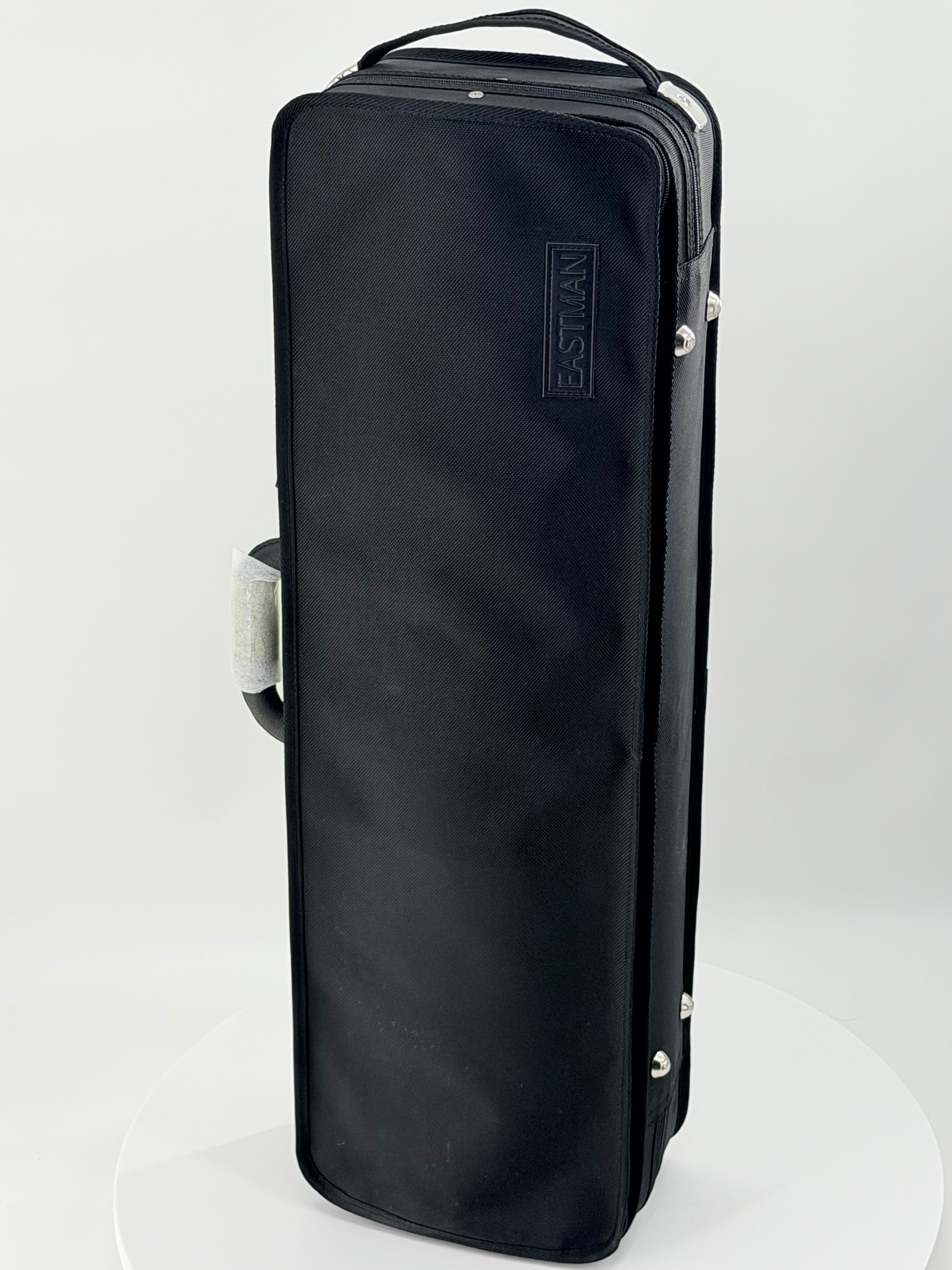 Eastman CA1908 Oblong Violin Case