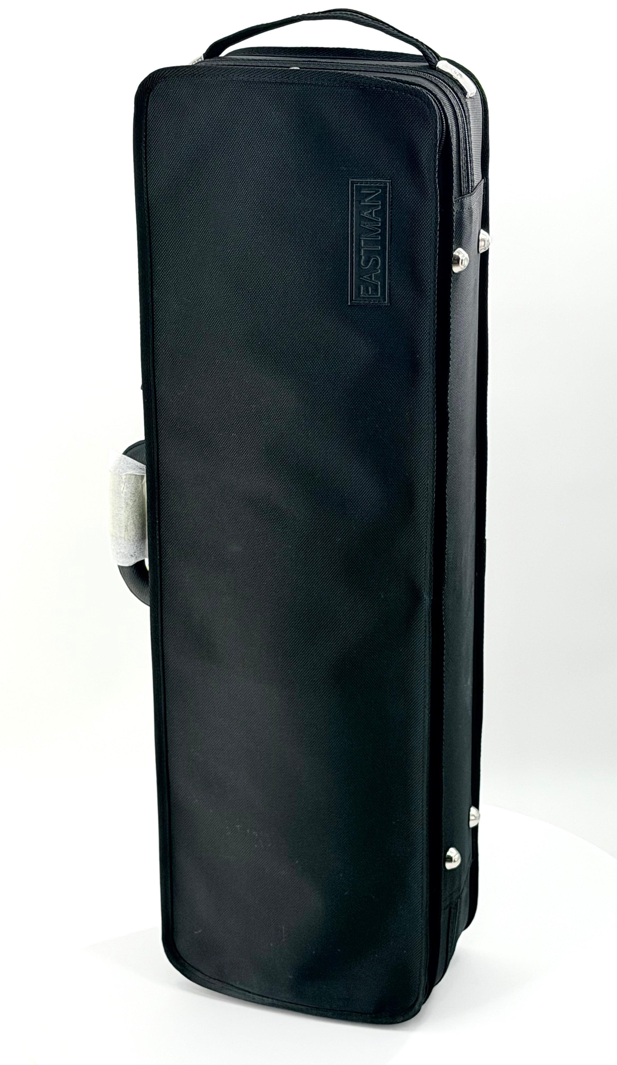 Eastman CA1908 Oblong Violin Case