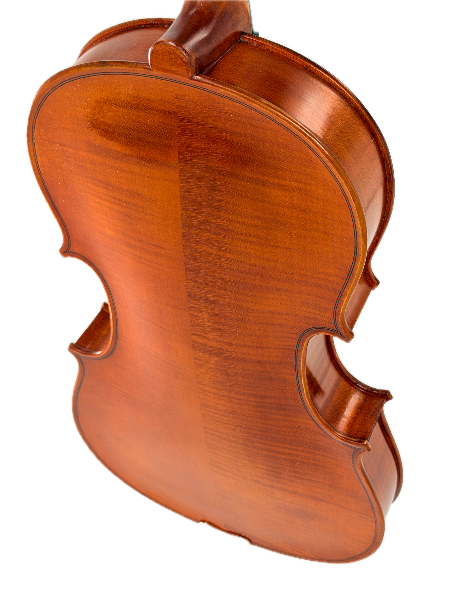 Close-up of the back of an Eastman VA200 viola showing the glossy brown wooden body and f-holes, isolated on a white background.