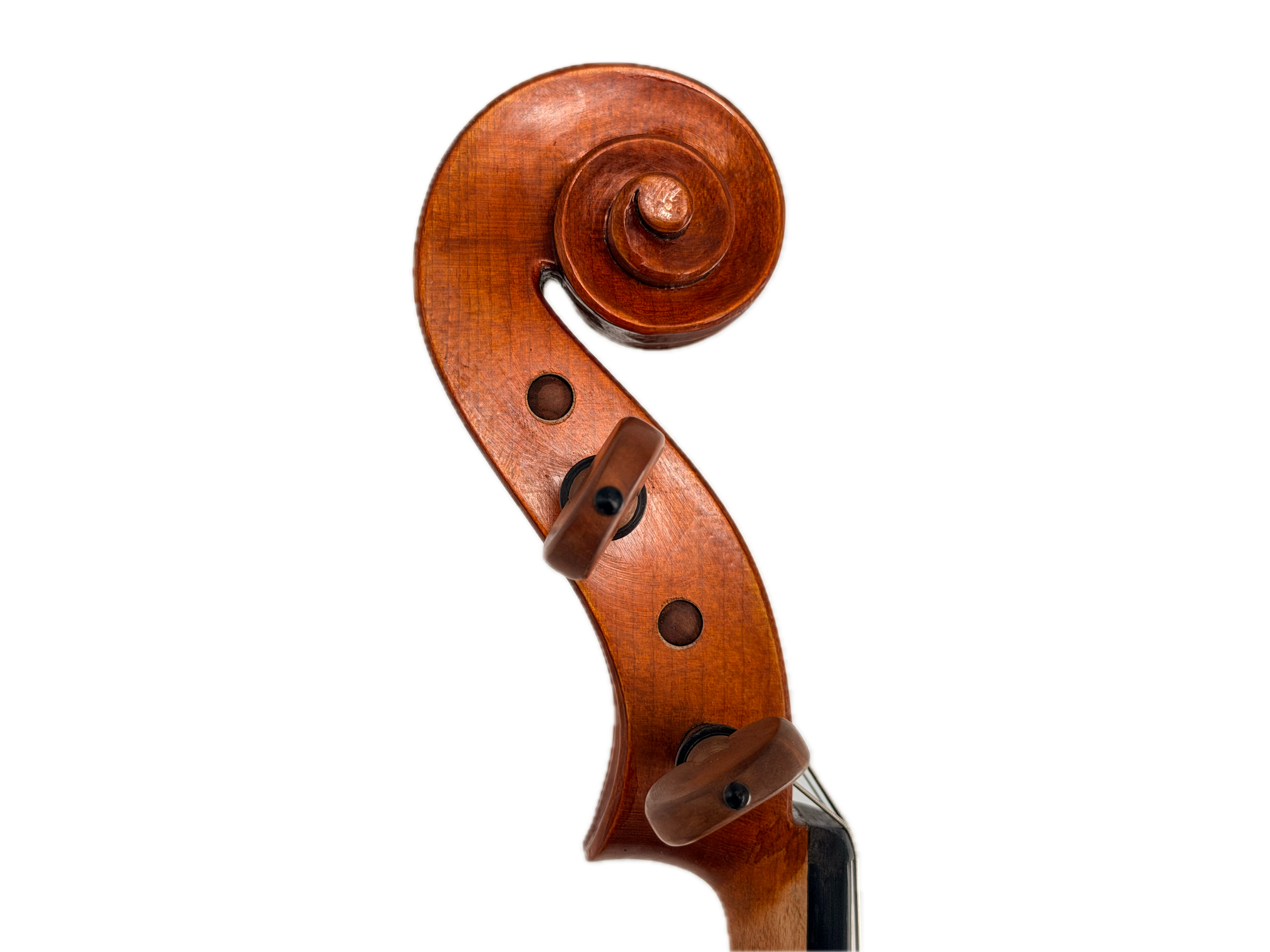 Close-up of the Andreas Eastman VA200 Stradivari Viola's wooden scroll and pegs against a white background, highlighting the elegant, curved top and fine detailing characteristic of this handcrafted instrument.