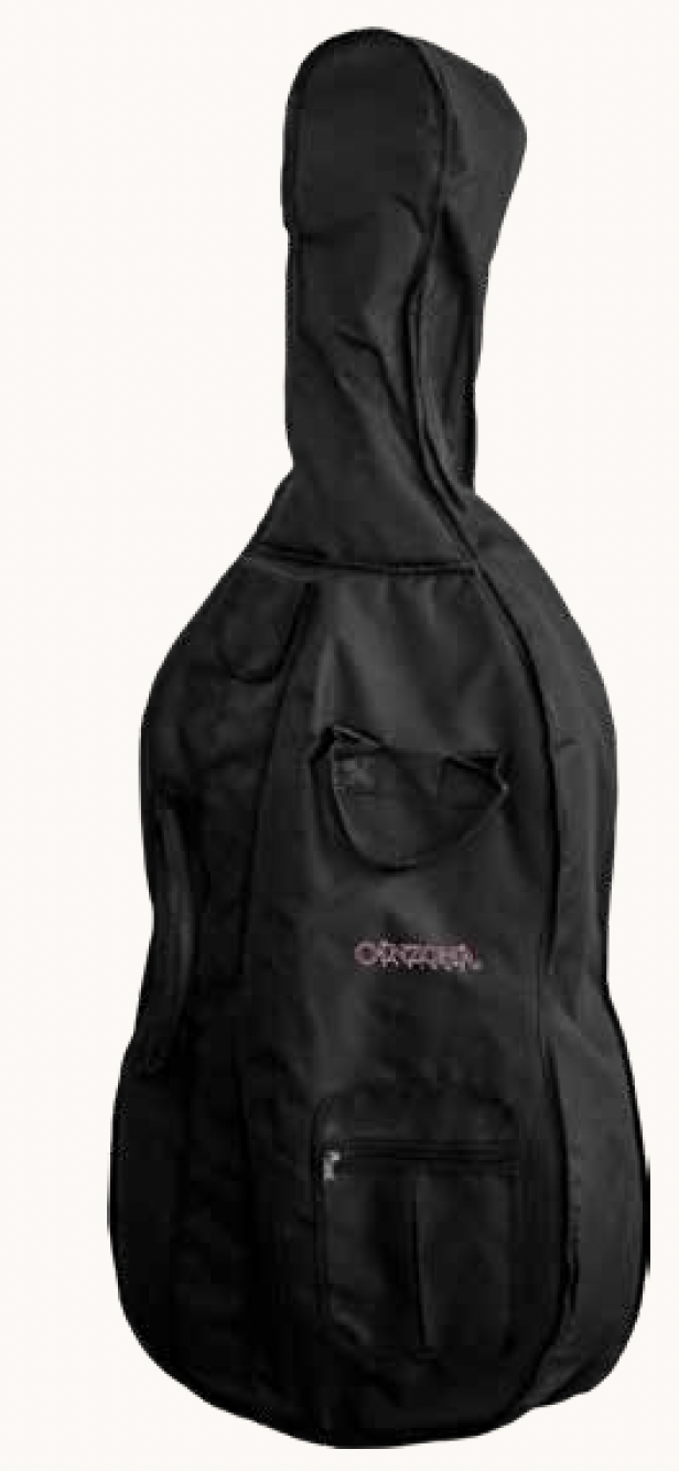 Canzona Allegra 100 Series Student Double Bass Outfit