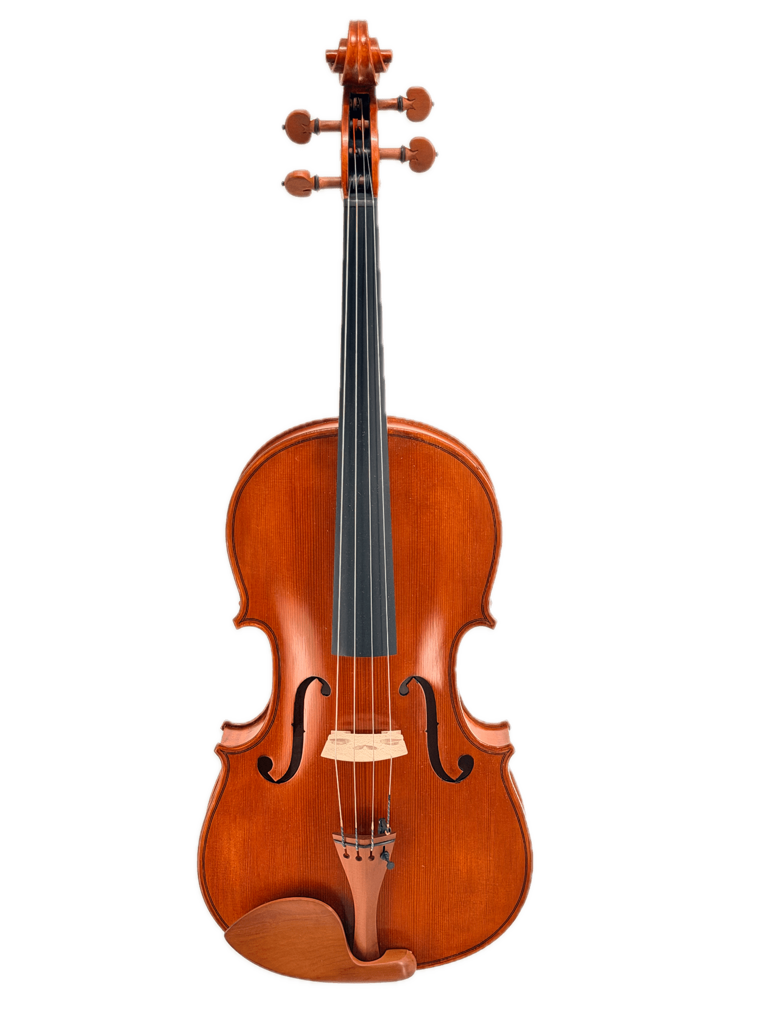 Eastman 200 Series Viola