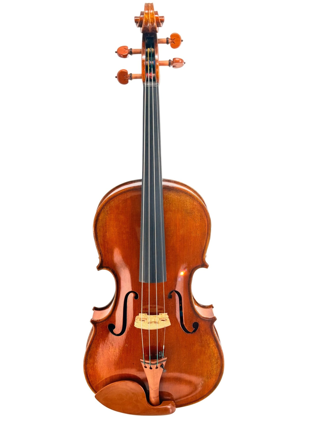 The Eastman VA405 Viola