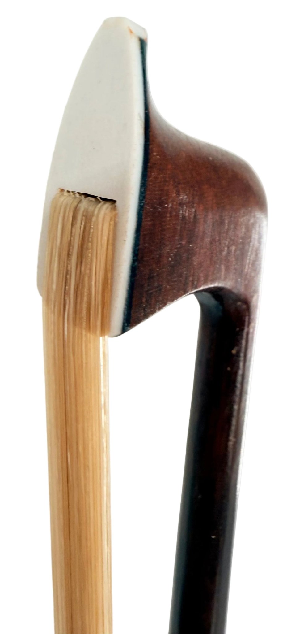 Close-up of the Artino Gavotte BBC-180RA Premium Brazilwood Viola Bow tip, highlighting the white tip plate, brazilwood stick, and taut horsehair against a plain background.