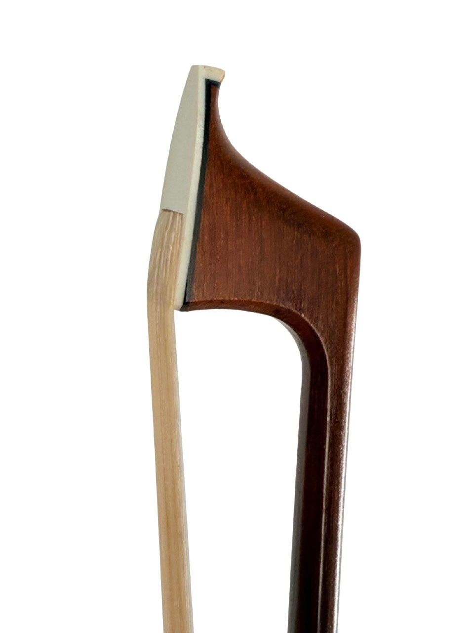 Close-up of the tip of the Artino Gavotte BCC-180RC Massaranduba Cello Bow – 4/4, highlighting its Massaranduba wood construction, white tip plate, elegantly curved structure, and light-colored horsehair.