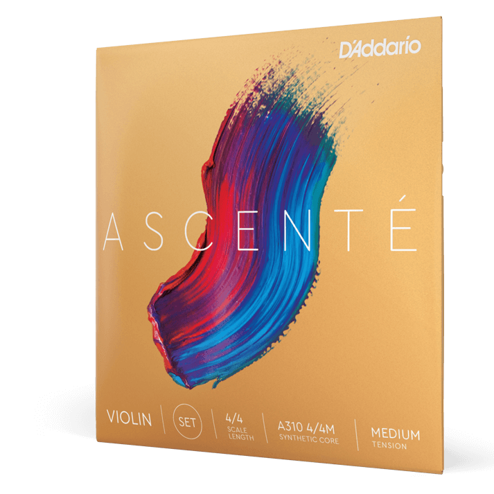 Ascenté Violin String Set - Atelier Fine Strings