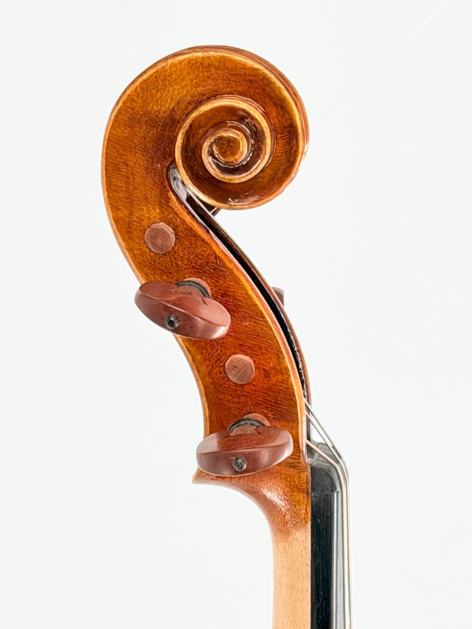 Close-up of a handcrafted violin scroll with wooden tuning pegs, detailed carving, and varnished wood against a white background—part of our Atelier Violin Outfit Special, perfect for beginner violin enthusiasts.