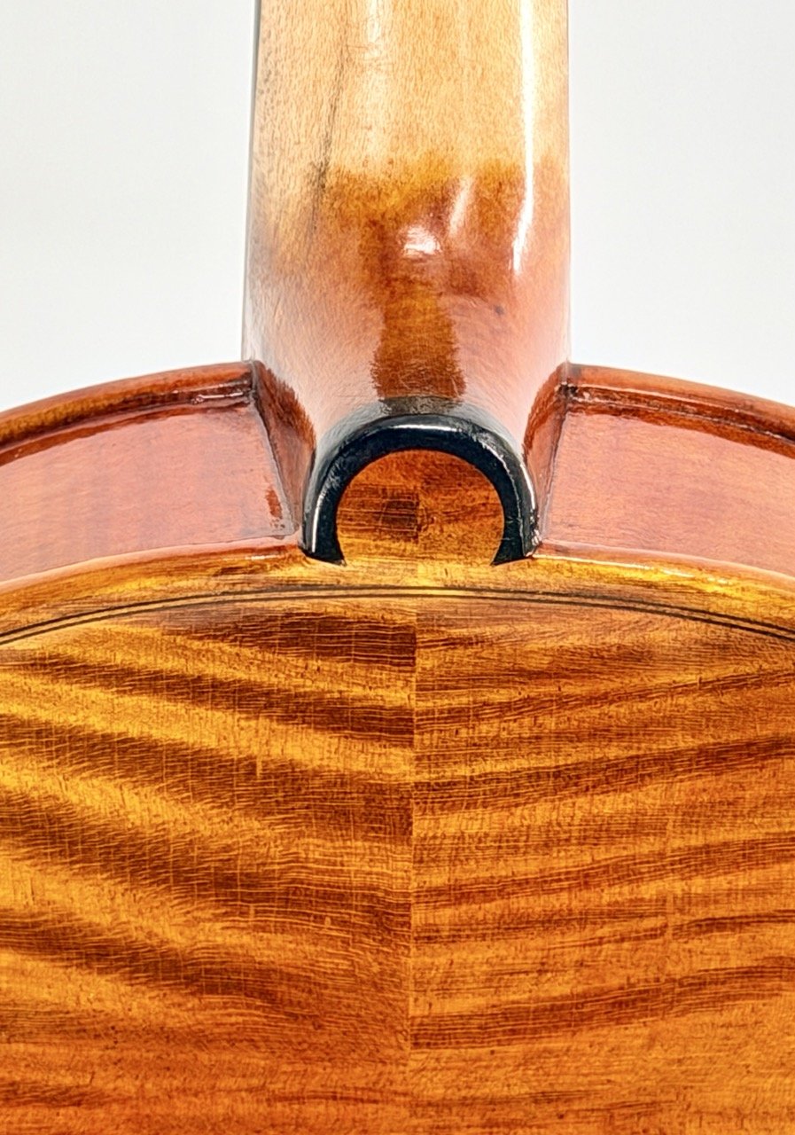 Close-up of the Atelier Violin Outfit Special's back, highlighting its smooth, glossy finish, European tonewood grain, and the elegant curve where the neck joins the body.