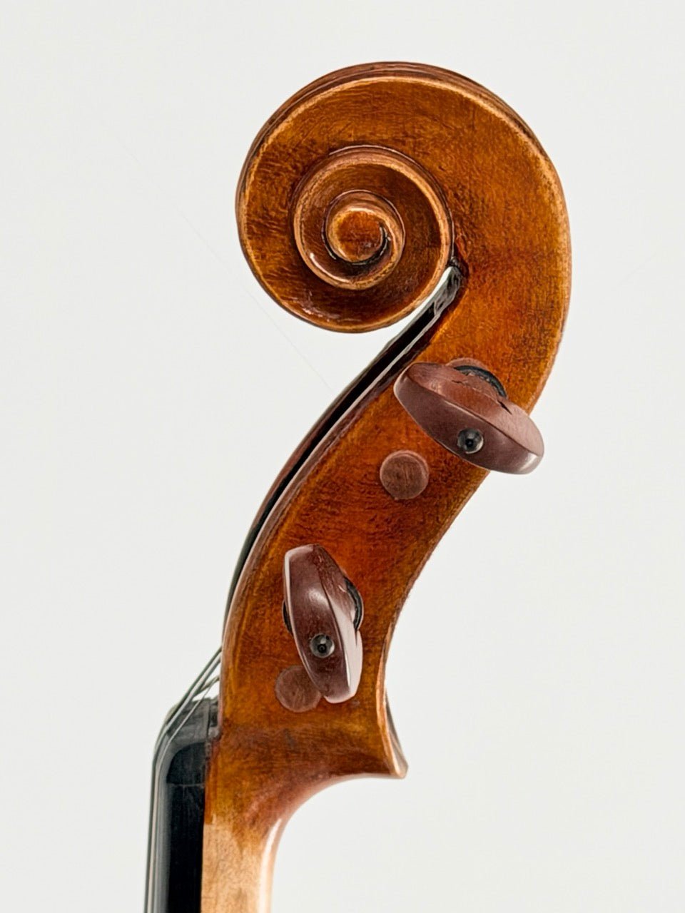 Close-up of a handcrafted violin scroll with visible tuning pegs and elegant carved spiral against a white background—ideal for showcasing the Atelier Violin Outfit Special.