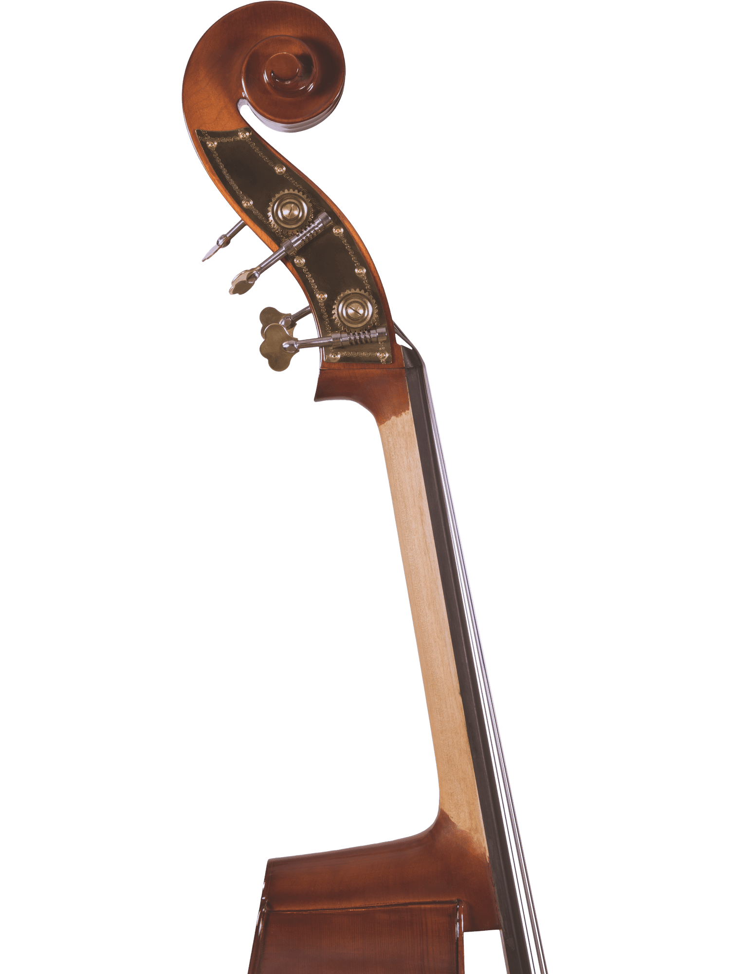 Close-up of the scroll, tuning pegs, and upper neck of the Canzona 200 Sonata Bass Outfit with a solid spruce top, set against a plain white background.