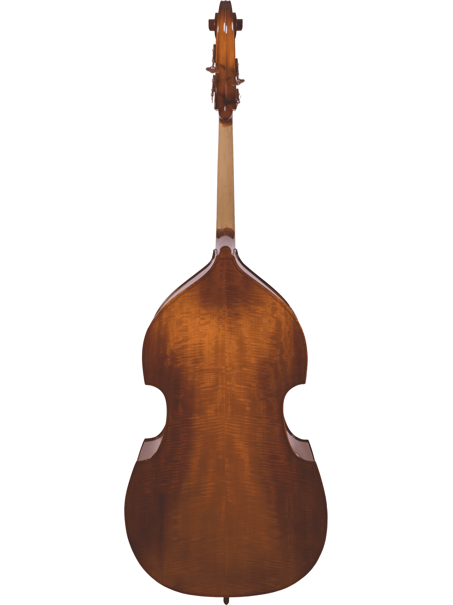 The Canzona 200 Sonata Bass Outfit is shown from the back with a wooden body, curved sides, and a long neck against a white background—an excellent choice for school bass players.