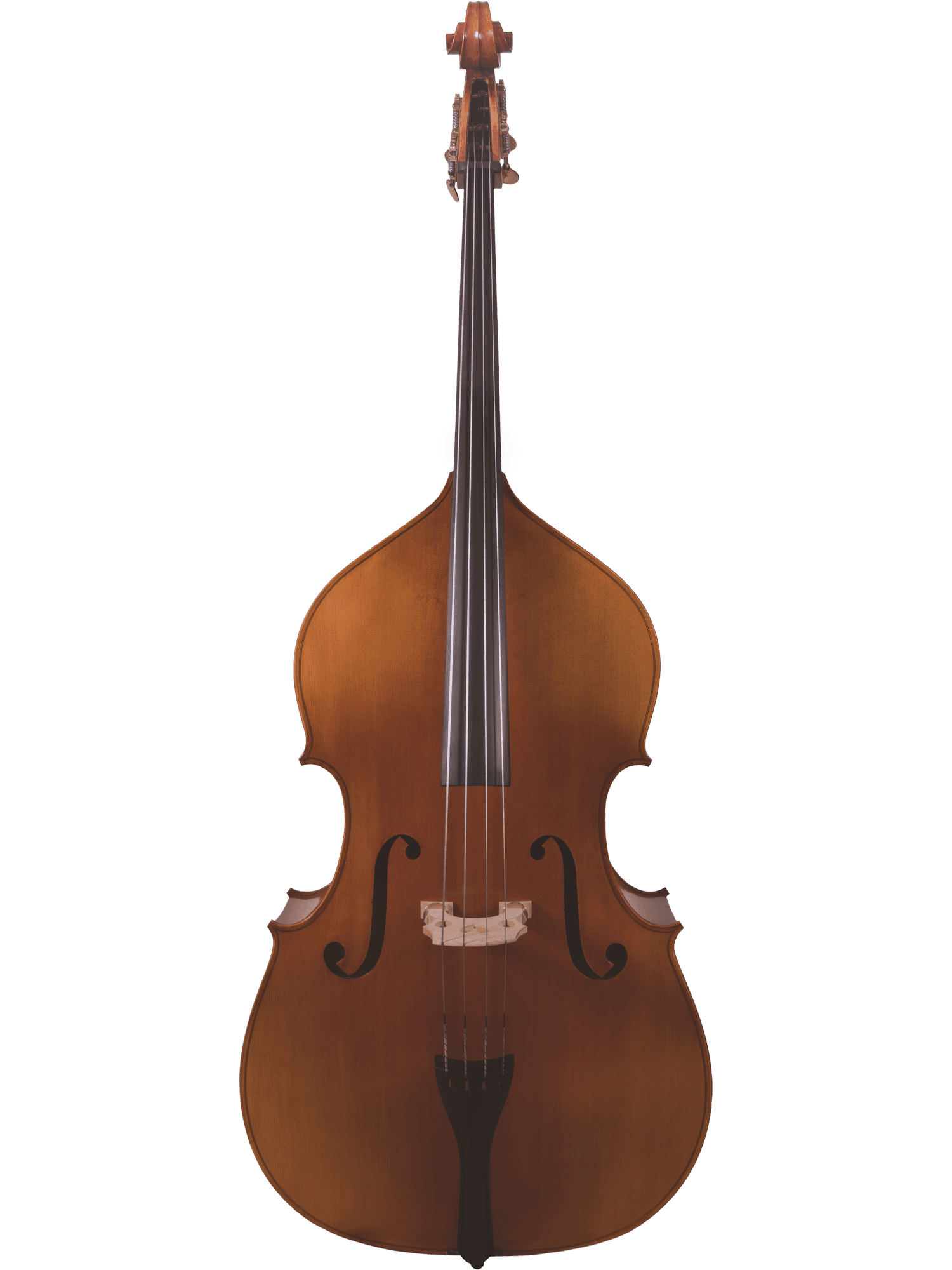 A full-length view of the Canzona 300 Caprice Bass, a hand-carved double bass for advancing players with a wooden body, four strings, and f-shaped sound holes, photographed against a plain white background.