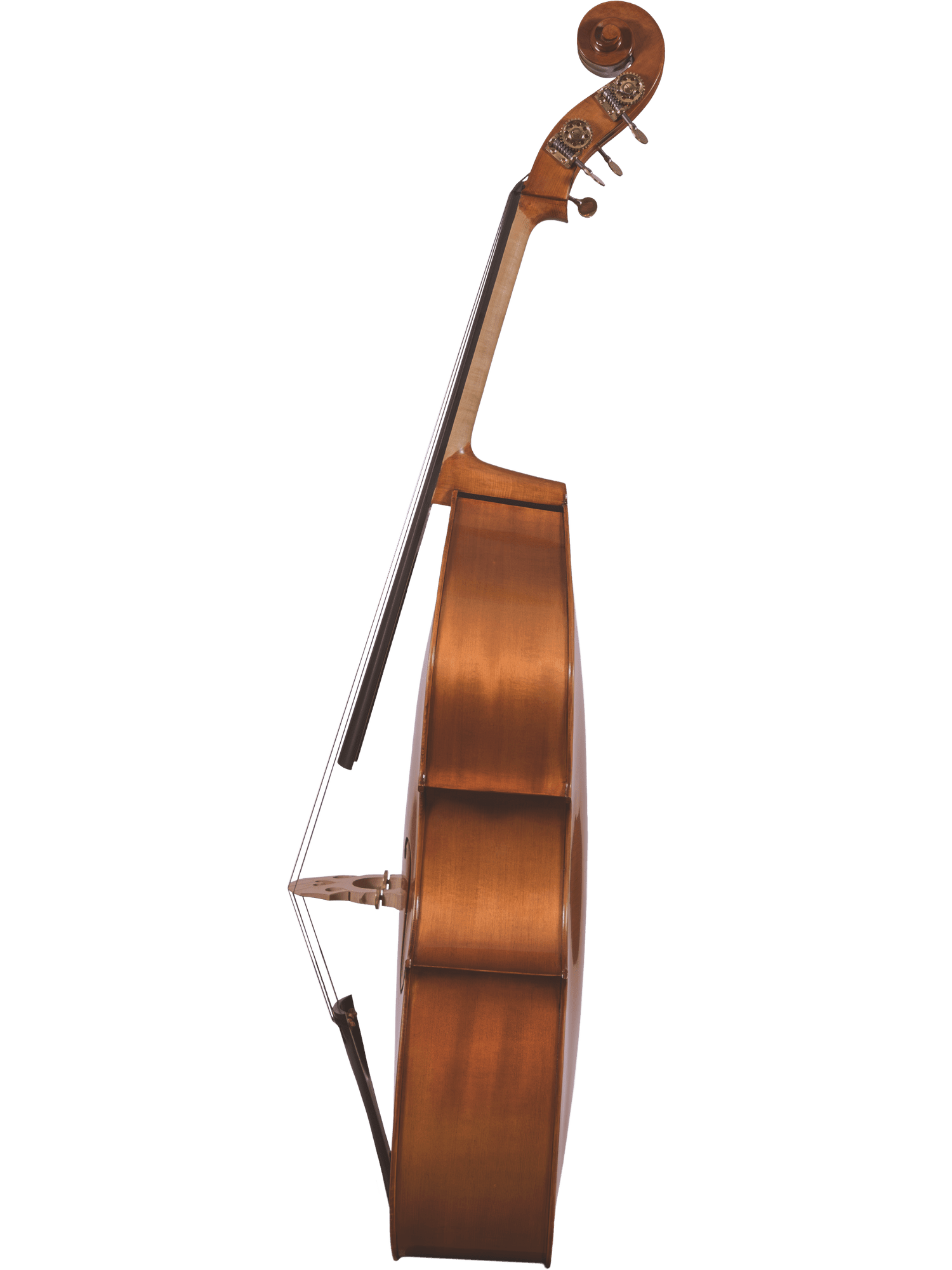 Side view of a hand-carved Canzona 300 Caprice Bass, highlighting its curved body, fingerboard, tuning pegs, and strings with a bow resting against it. Perfect for advancing players, the bass stands upright before a plain white background.
