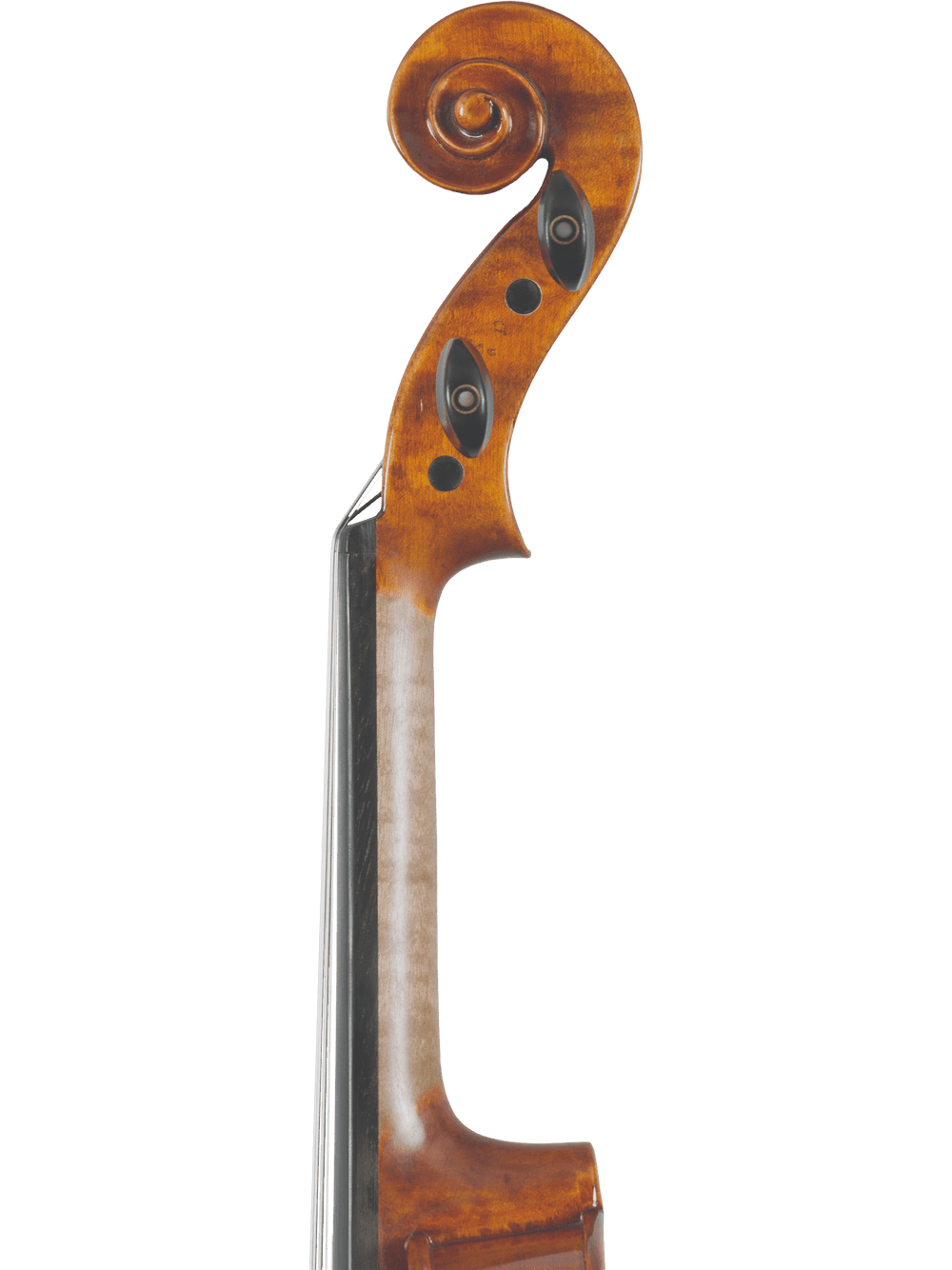 Close-up of the Canzona A. Tennyson Advanced Violin scroll and pegbox, highlighting carved wooden details and tuning pegs made from AAA-grade seasoned spruce, displayed against a plain white background.