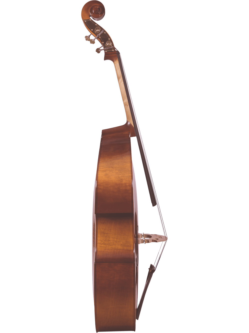 The Canzona Allegra 100 Series Student Double Bass Outfit is shown from the side, highlighting its sturdy wooden body, curved neck, scroll, and a bow resting against the strings.