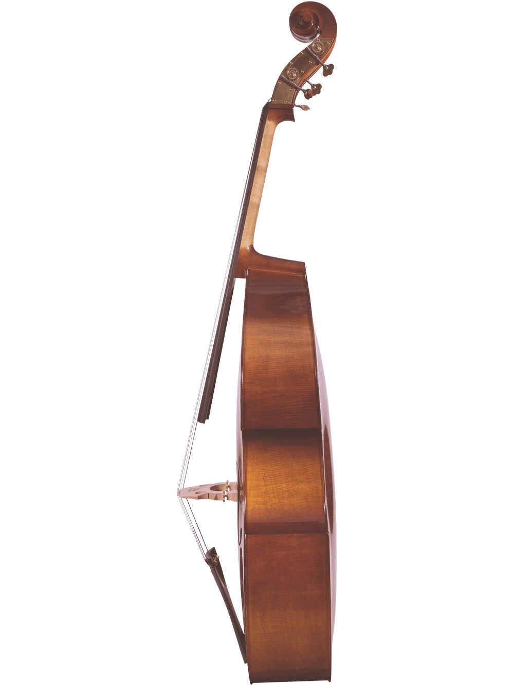 A side view of the Canzona Allegra 100 Series Student Double Bass Outfit, a large wooden string instrument, showing its curved body, neck, and scroll against a white background.