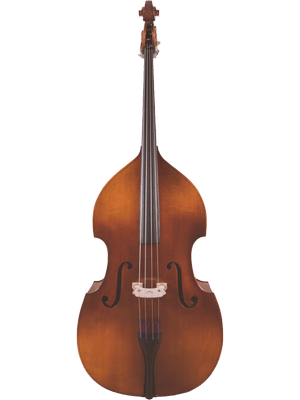 A front view of the Canzona Allegra 100 Series Student Double Bass Outfit, a durable student instrument with a curved body, f-holes, four strings, and a dark brown finish on a plain white background.