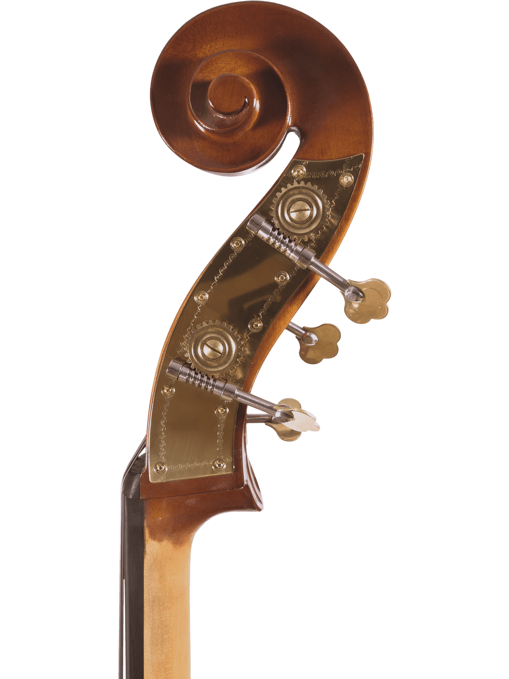 Close-up of the Canzona Allegra 100 Series Student Double Bass Outfit's durable scroll with brass tuning pegs and hardware, showcasing detailed wood grain and metalwork against a plain white background.