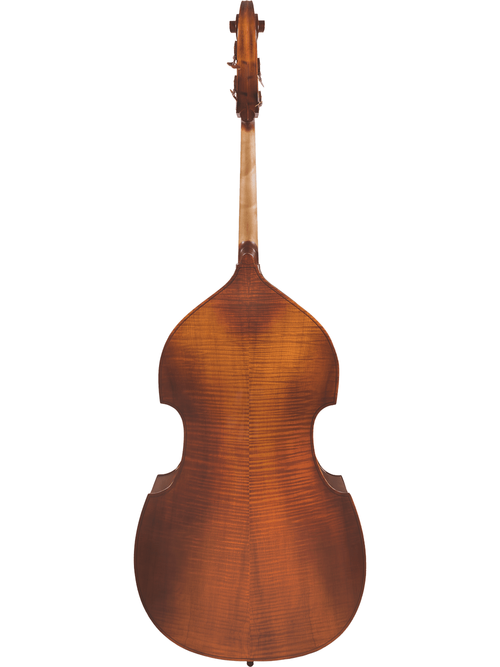 A rear view of the Canzona Allegra 100 Series Student Double Bass Outfit displays its durable, curved wooden body with a polished brown finish and visible wood grain, set against a plain white background.