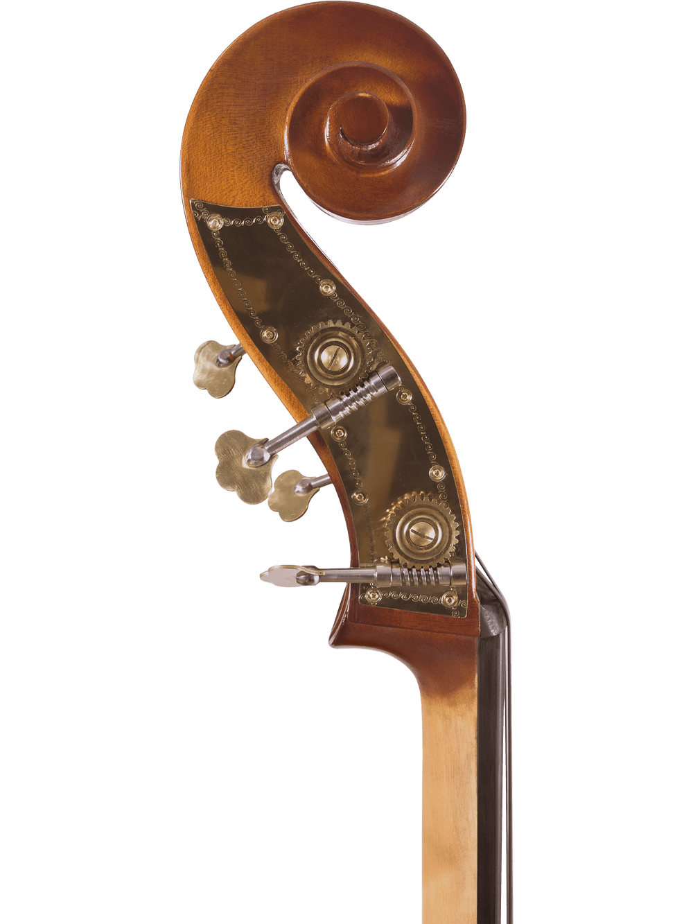 Close-up of the Canzona Allegra 100 Series Student Double Bass Outfit scroll and tuning pegs, highlighting its durable woodwork and brass fittings against a white background.