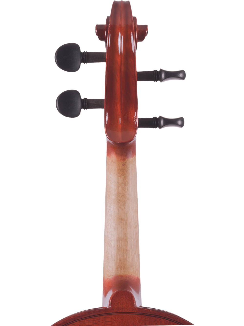 Close-up of the back scroll and neck on the Canzona Allegra Student Viola Outfit – Hand Carved Spruce & Maple, showcasing tuning pegs and wood grain against a white background.