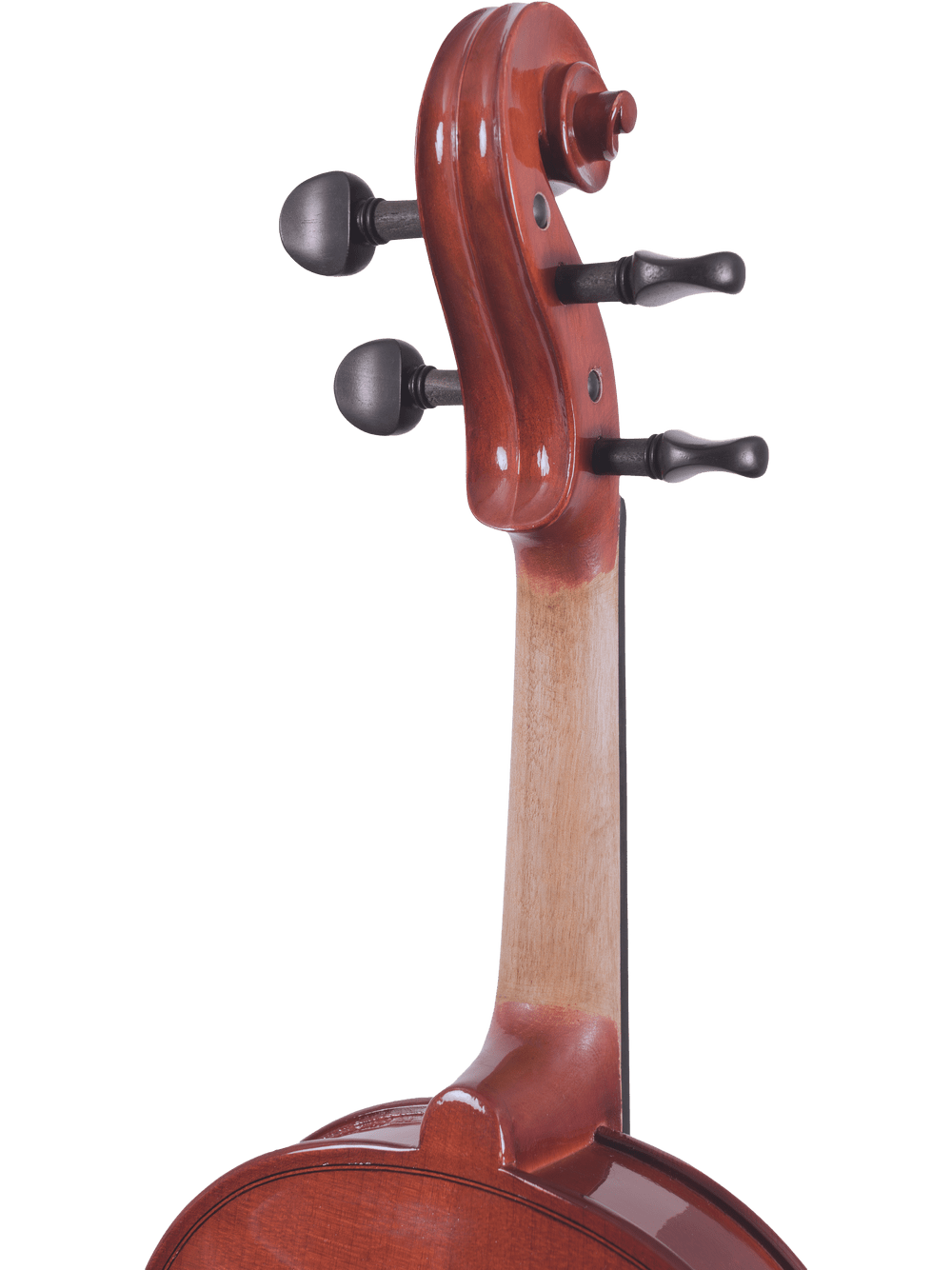 Close-up of the Canzona Allegra Student Viola Outfit’s scroll, neck, and pegs against a white background. The hand-carved spruce and maple wood grain and smooth finish are clearly visible.