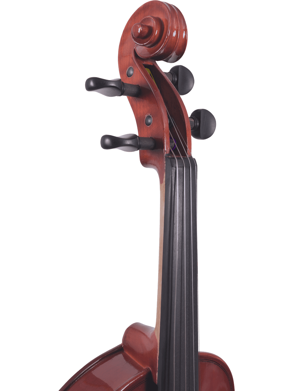 Close-up of the scroll, tuning pegs, and upper fingerboard of a Canzona Allegra Student Viola Outfit – Hand Carved Spruce & Maple, set against a plain white background.