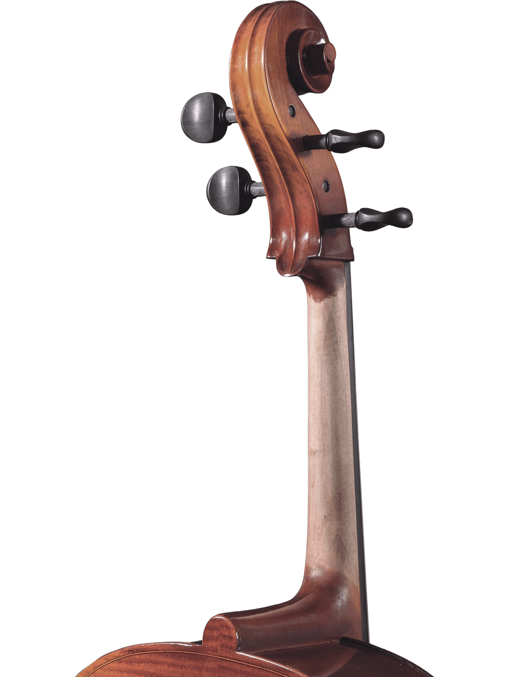 Close-up of the scroll, pegs, and neck of a Canzona Allegro 100 Cello Outfit against a plain white background—ideal for beginner cello players.