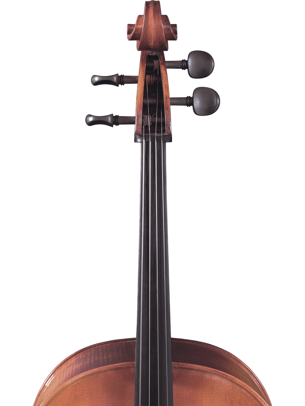 Close-up of the upper section of the Canzona Allegro 100 Cello Outfit, featuring tuning pegs, scroll, neck, and body details against a plain white background.
