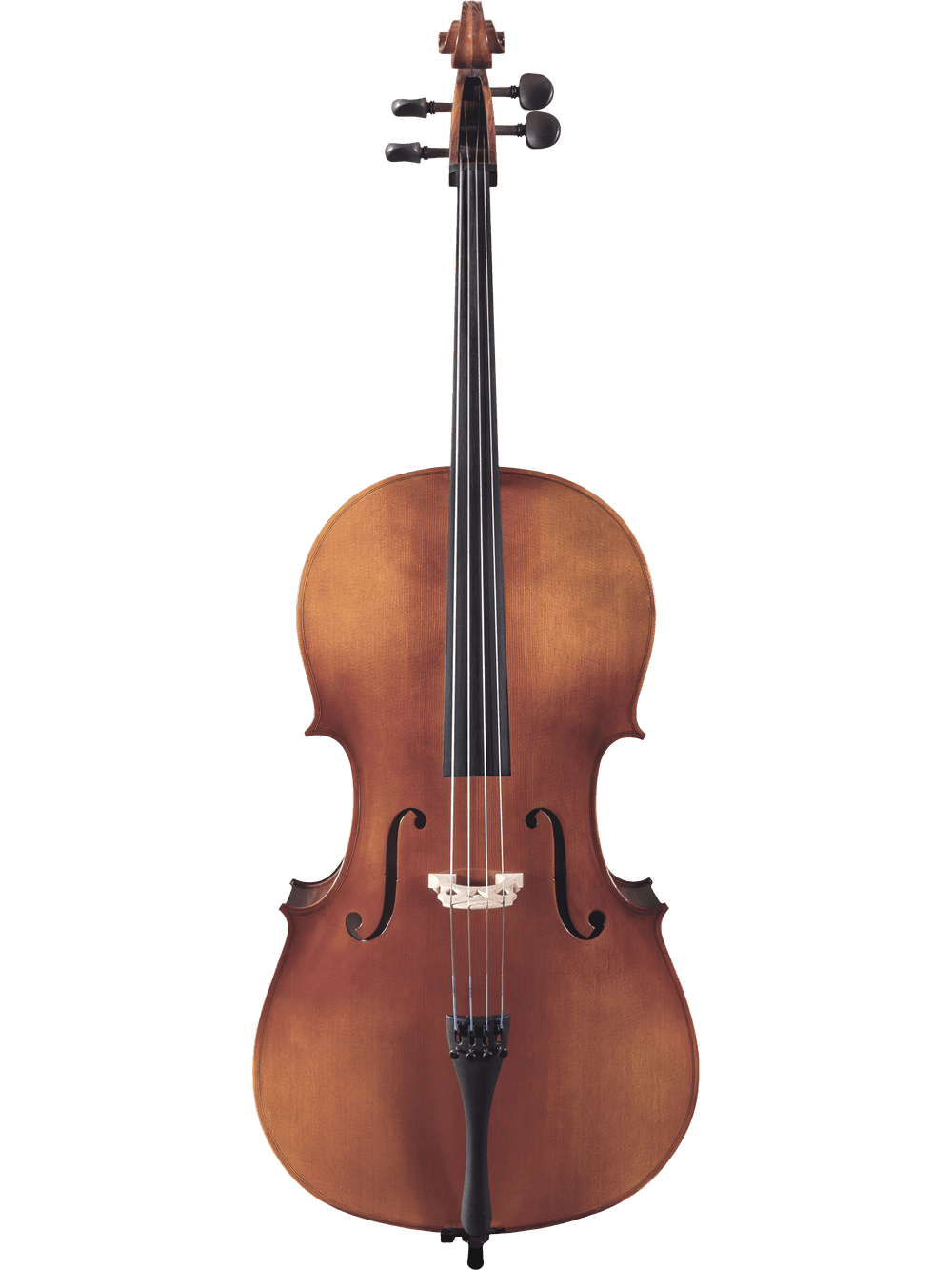 The Canzona Allegro 100 Cello Outfit stands upright against a plain white background, displaying its strings, bridge, fingerboard, and tuning pegs in full view.