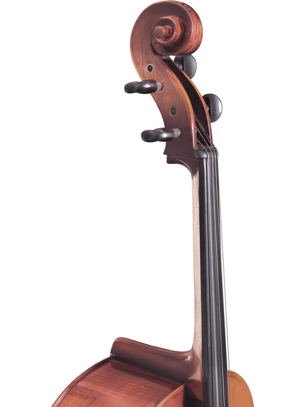 Close-up of the scroll and tuning pegs of a wooden string instrument, likely a beginner cello such as the Canzona Allegro 100 Cello Outfit, set against a plain white background.