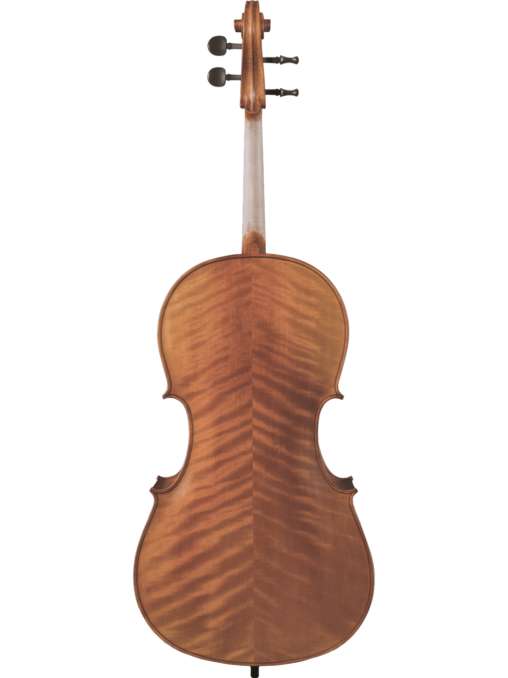 Back view of the Canzona Caprice 300 Cello Outfit, featuring a hand-carved, polished flamed grain, with visible tuning pegs, neck, and curved body against a plain white background—ideal for students valuing quality craftsmanship.