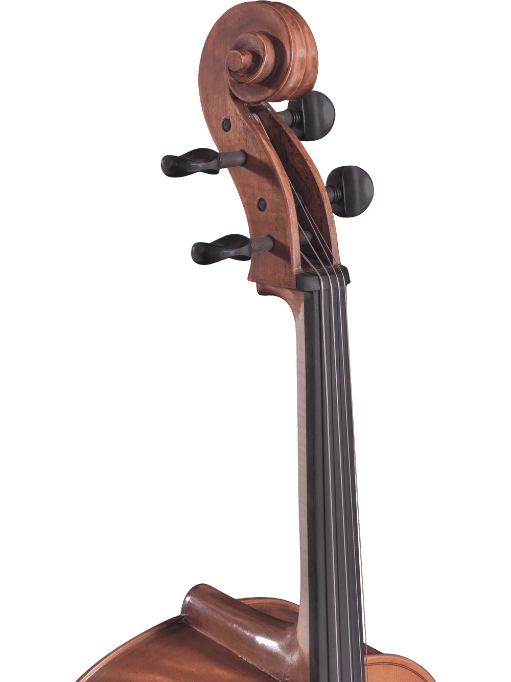 Close-up of the hand-carved scroll, pegs, and upper fingerboard of the Canzona Caprice 300 Cello Outfit, set against a white background. The polished brown finish showcases its detailed craftsmanship.