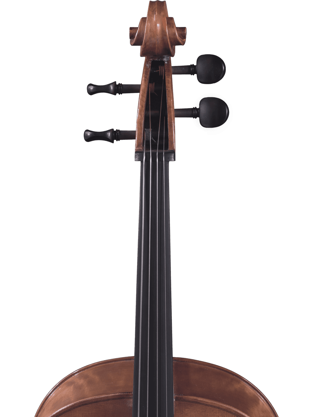 Close-up of the top section of a Canzona Caprice 300 Cello Outfit, showing the scroll, tuning pegs, and part of the fingerboard against a plain white background.